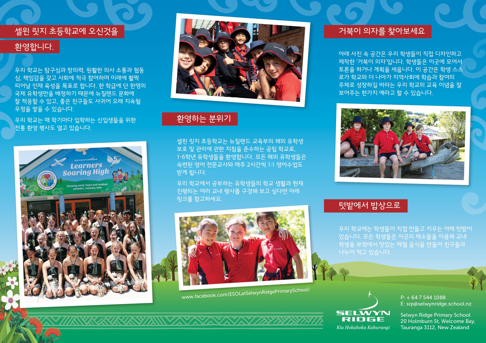 Selwyn Ridge Korean DL Brochure2.jpg